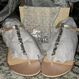 Jewel Badgley Mischka Natalie Flat Embellished T-Strap Sandals in Champagne.
